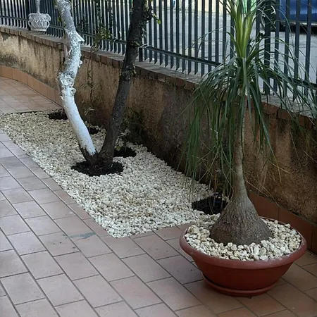 Angel House Airport Casa vacanze Catania